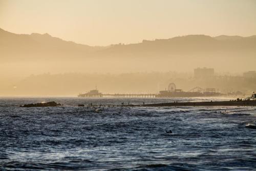 Ocean Park